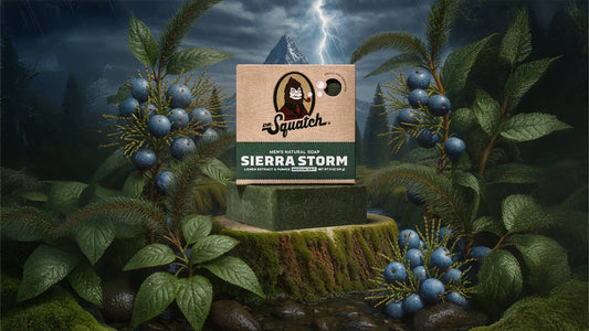 SIERRA STORM - US 5951