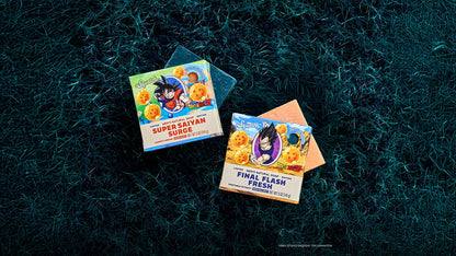 DRAGON BALL Z DUO - US 6155