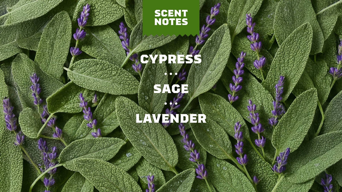 ALPINE SAGE - US 8906